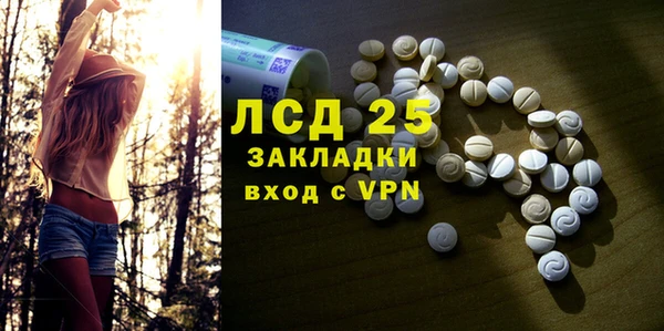 индика Абаза