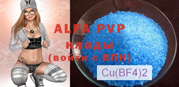 индика Абаза