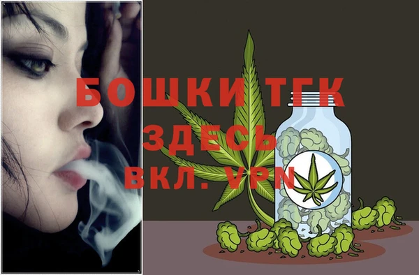 индика Абаза