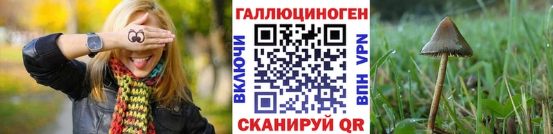 Галлюциногенные грибы GOLDEN TEACHER  KRAKEN рабочий сайт  Абаза  что такое наркотик 