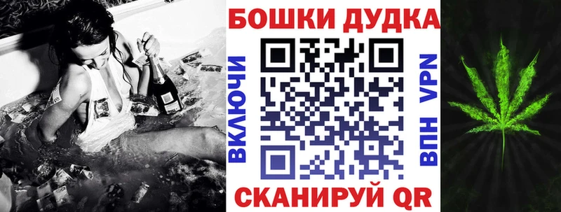 kraken   Абаза  Канабис конопля 